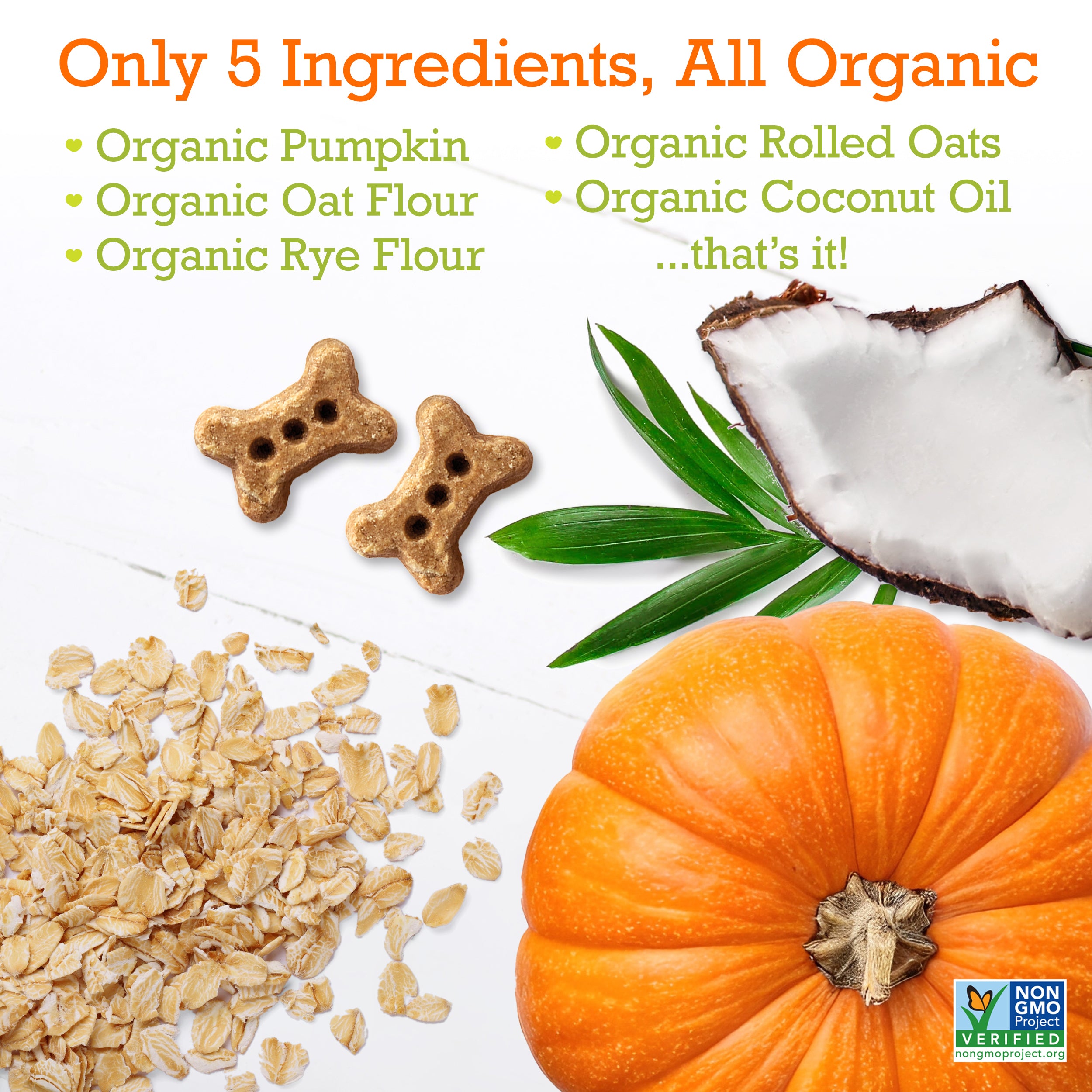 Pumpkin & Coconut Baked Biscuits Small Bone 12oz