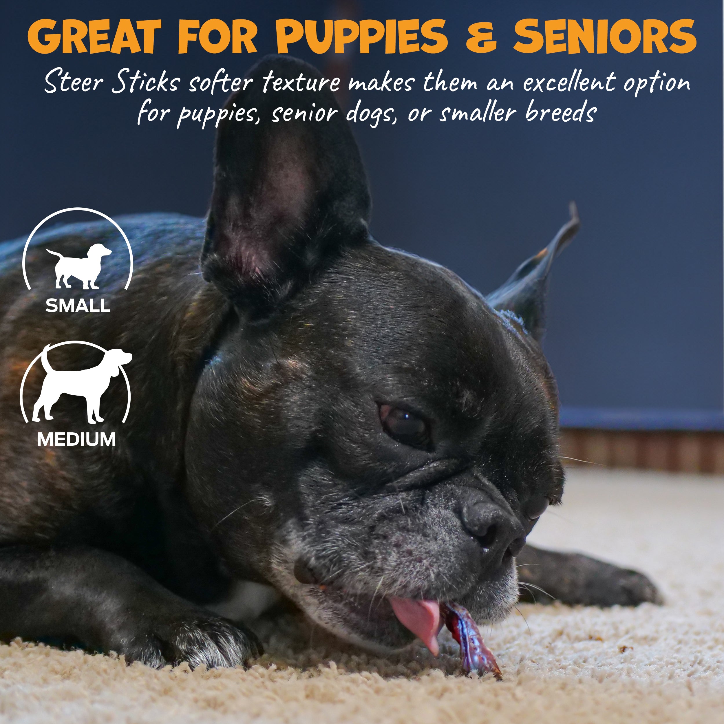 Pack Approved Thick Steer Bully Sticks, 5-6