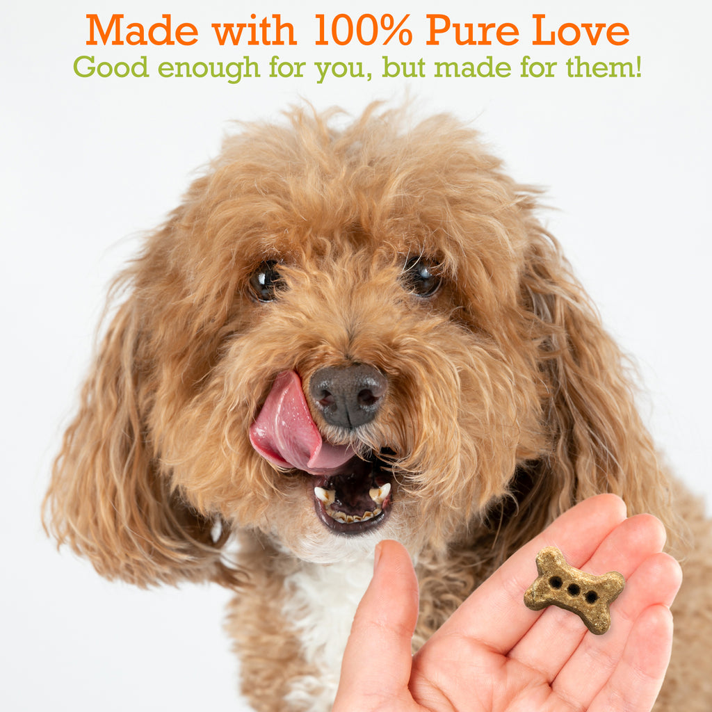 Organic Pumpkin & Coconut Baked Biscuits - Small Bone (5oz