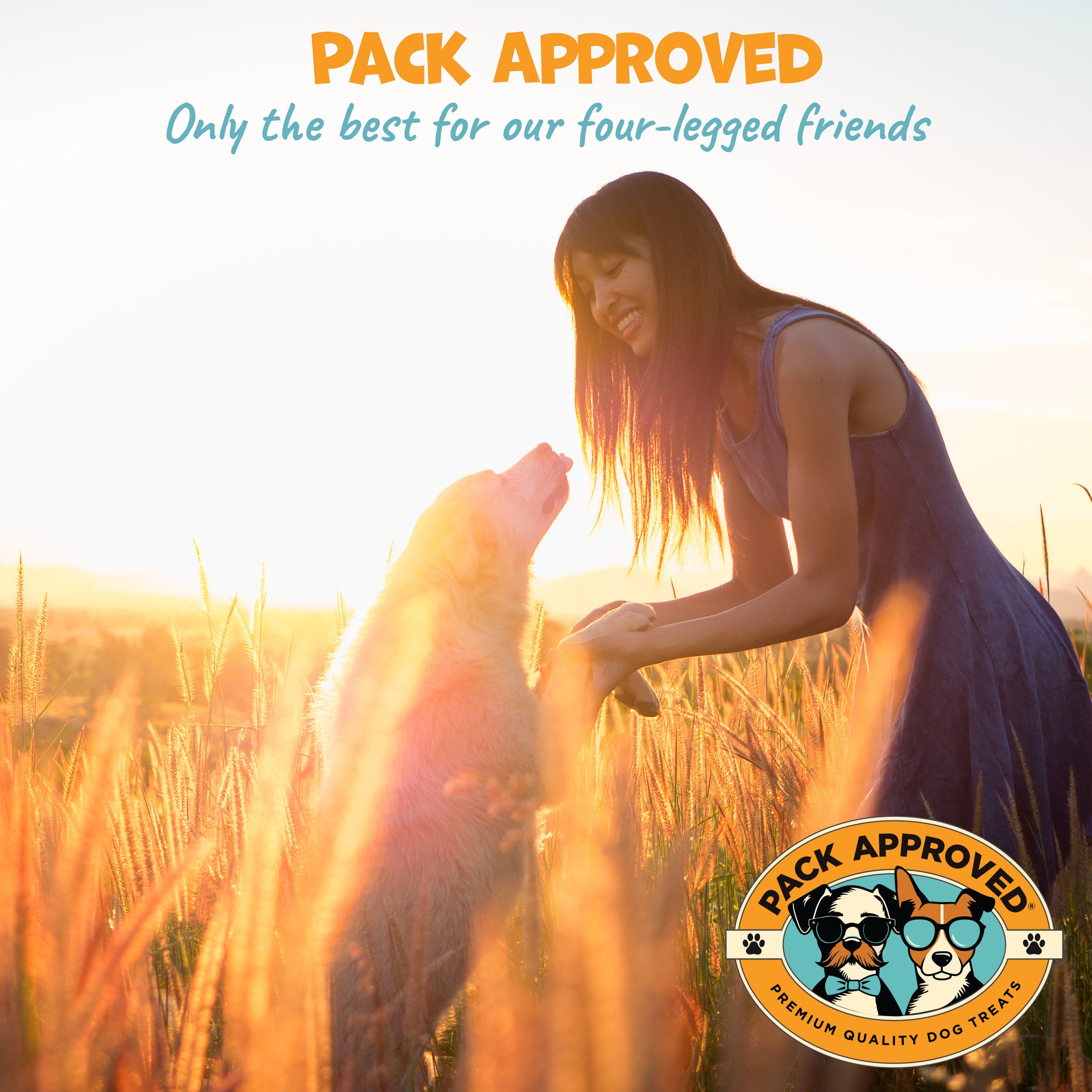 ドッグフード Riley Pack Approved Beef Tendon Strips 7-10