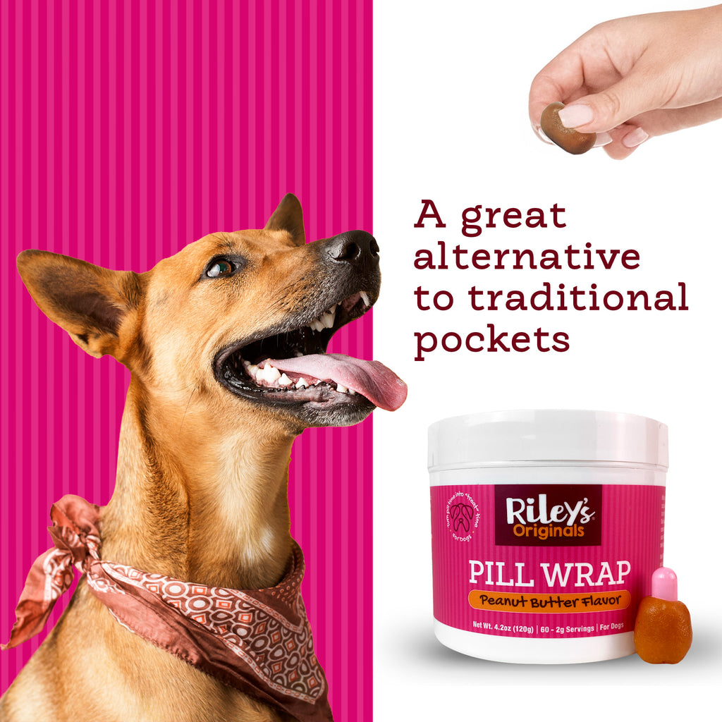 Dog treat outlet paste