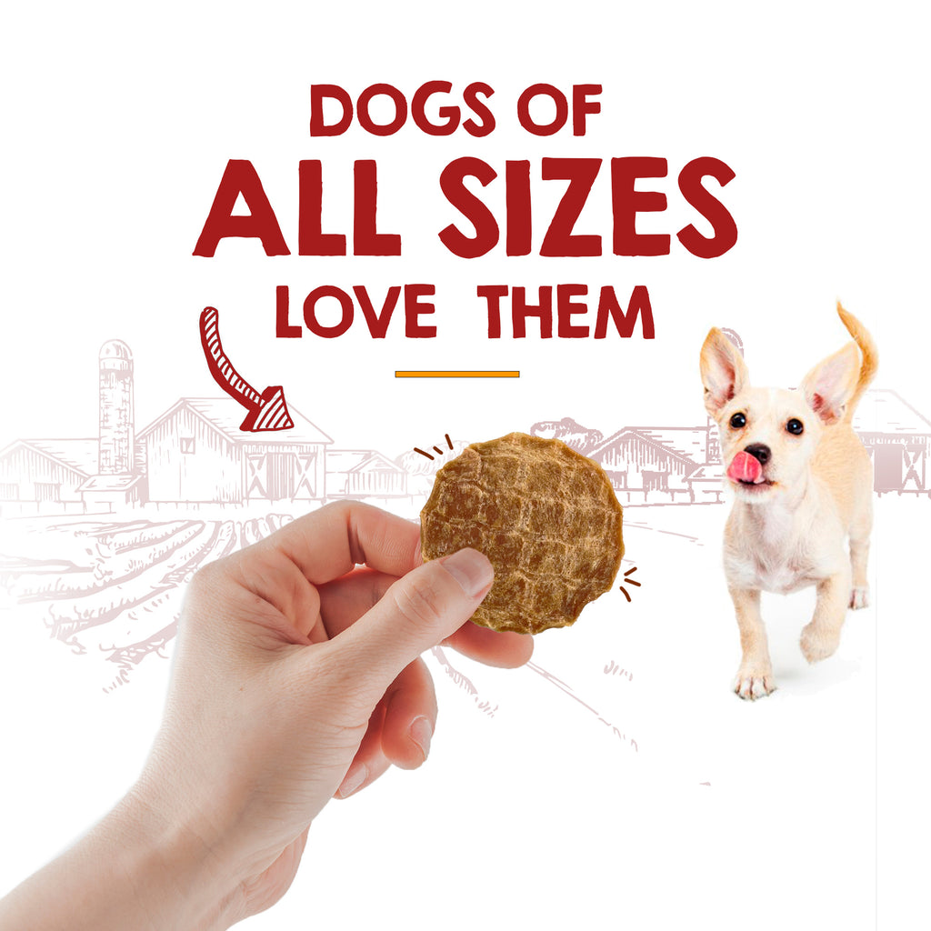 Dog chicken clearance chips